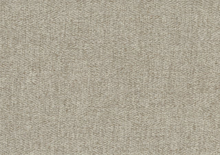 25497631