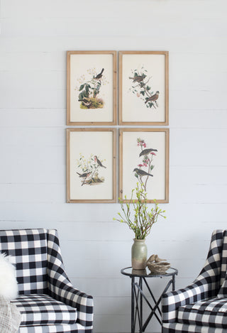 S/4 Bird Framed Print, 15.5x23.5'