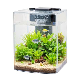 2 Gallon Fish Tank Aquarium Smart Arch Clear GPPS 3 Color Self Cleaning