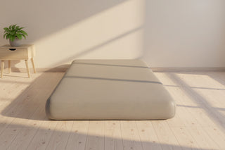 NapQueen 5 Inch Twin Size Memory Foam Kids Gray Mattress