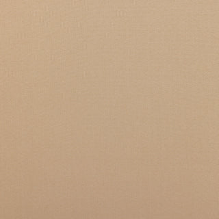 25095037