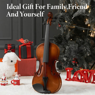 Professional 4/4 Full Size Violin Set | Stable Rich Sound & Complete Accessories