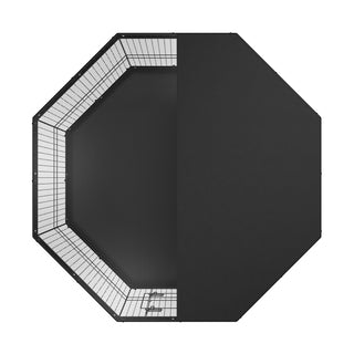 24289018