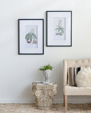 Set of 2 colorful botanical wall art prints in black frames