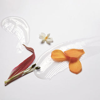 LABO-H Scalp Strengthening Shampoo Hair Loss Care Pea and Freesia 400ml