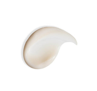 V&A BEAUTY Antioxidant Hydration Cream 50ml | Daily Age-Defying Moisturizer