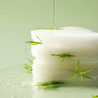 Dr.Ceuracle Tea Tree Purifine Toner Pad (60ea/160ml) | Calming & Pore Clearing Exfoliator