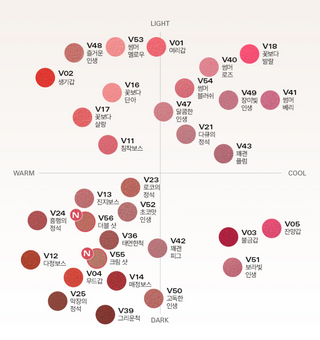 BBIA Last Velvet Tint 5g (32colors)