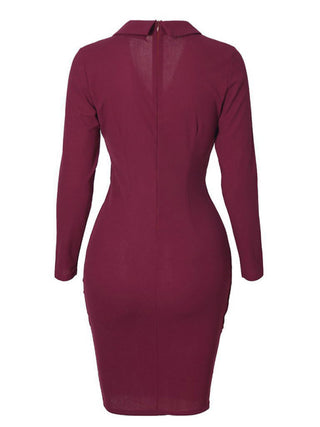 Women's Elegant Collar Dress