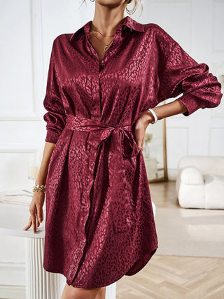 Women's Long Sleeves Dress